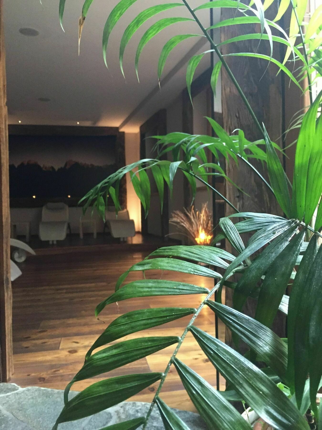 מדונה די קמפיליו Maribel Hotel מראה חיצוני תמונה